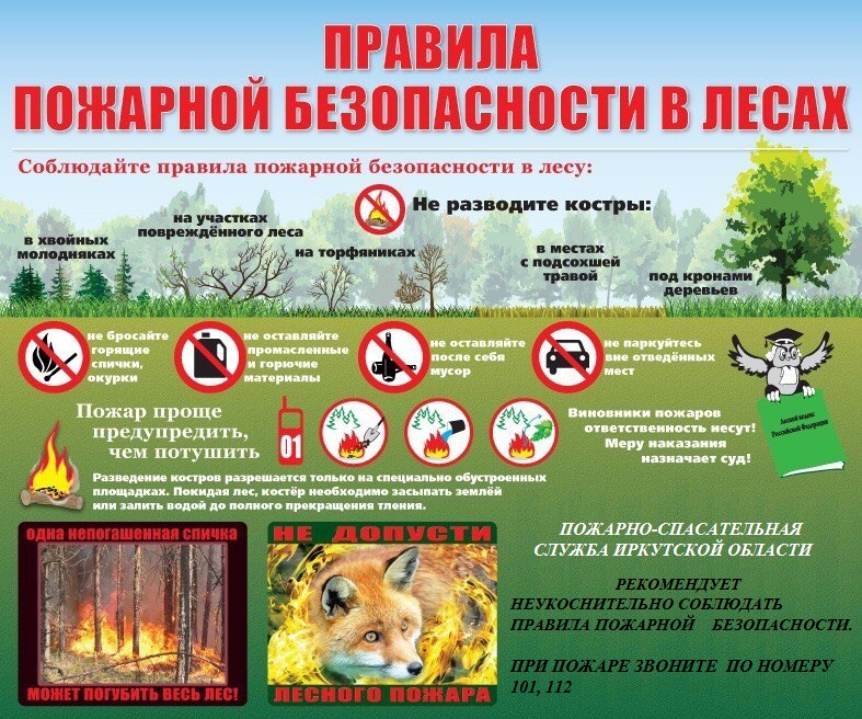 правила пожарной безопасности в лесу 1 (1).jpg